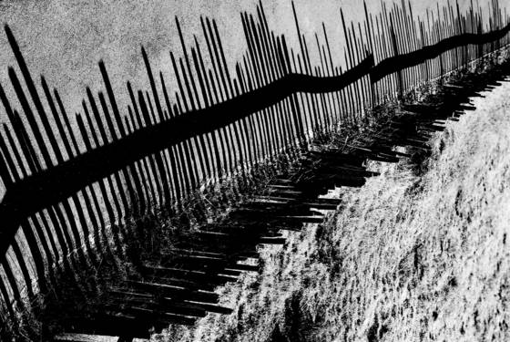 Shadow_fence