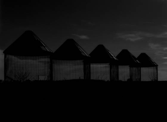 Corn_bins_at_dusk