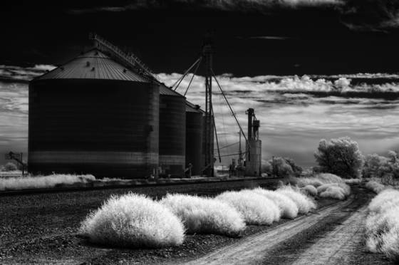 Along_the_tracks