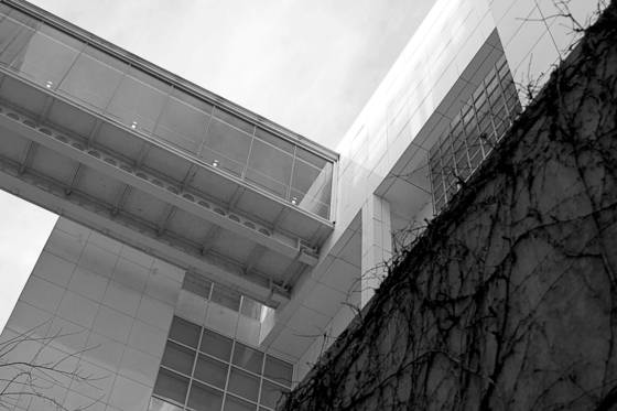 Building_bridge