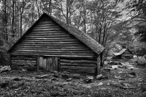 Ogle_cabins