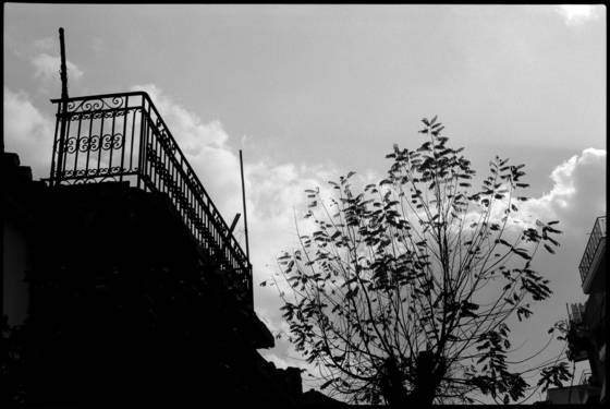 Balcony_and_tree