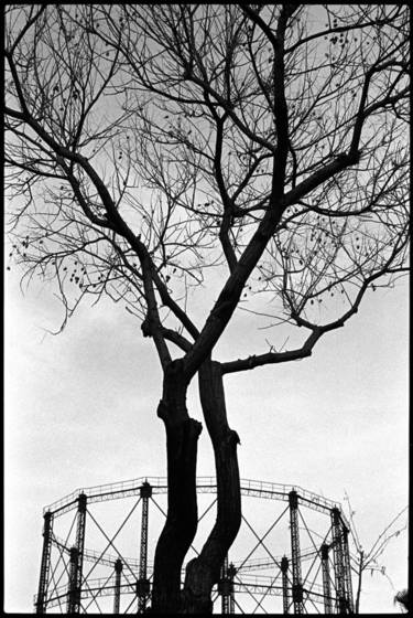 Tree_and_gasworks_2