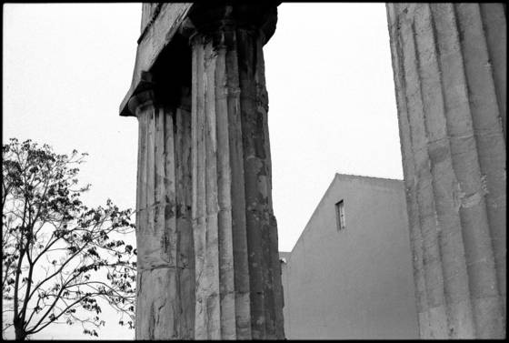 Tree_and_temple_and_building