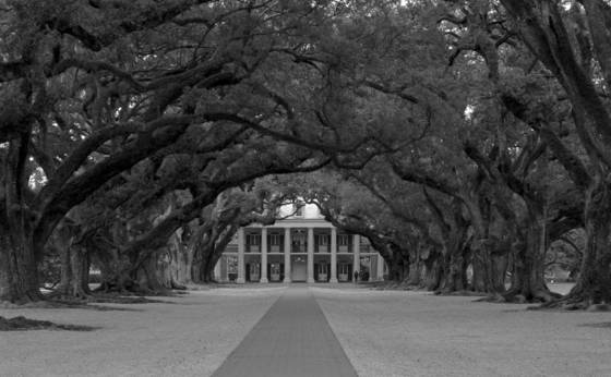 Plantation