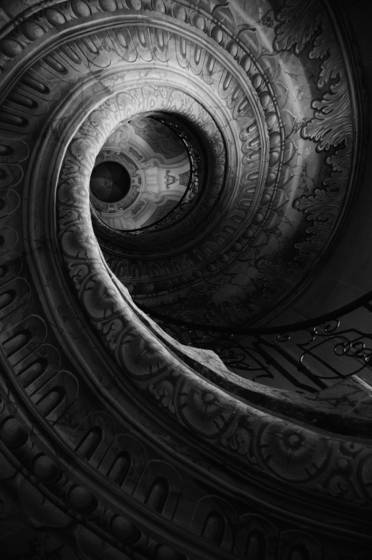 Nautilus