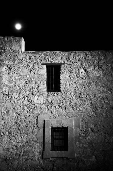 Alamo_nights