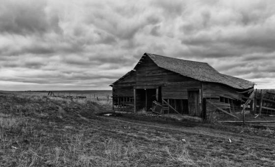 Homestead_2