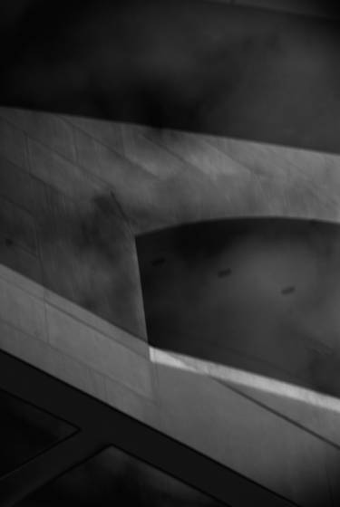 Reflections_at_the_meyerson_7