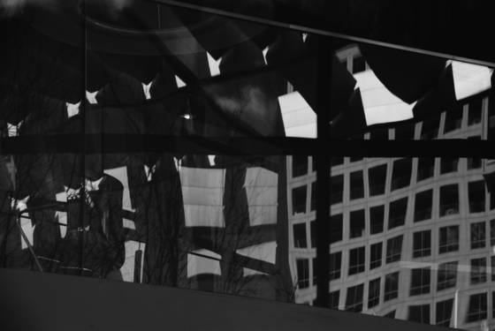 Reflections_at_the_winspear_53