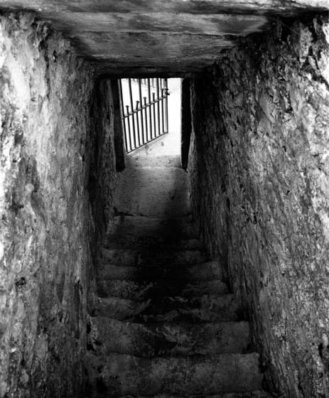 Castle_steps