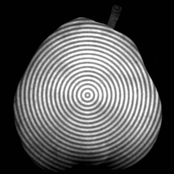 Pear_with_circles