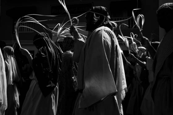 Palm_sunday