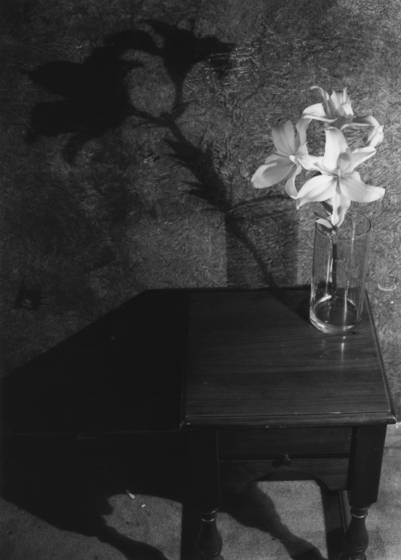 Untitled_2