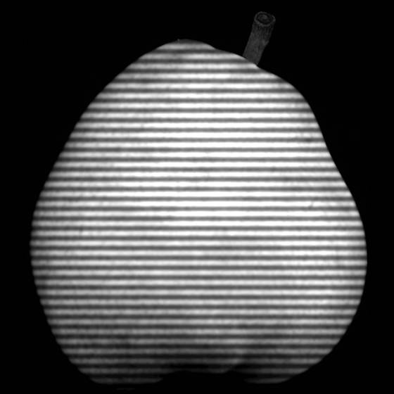 Pear_with_lines