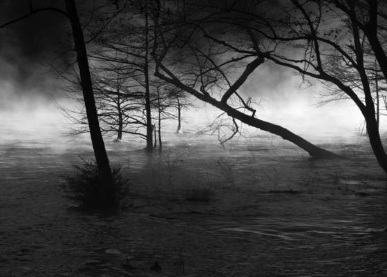 River_morning