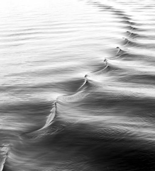 Wake