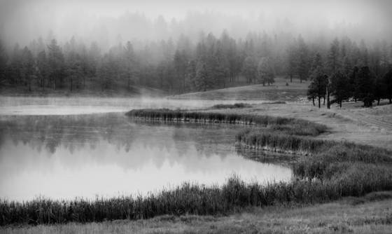 Misty_morning