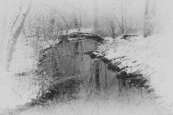 Cold_spring_park