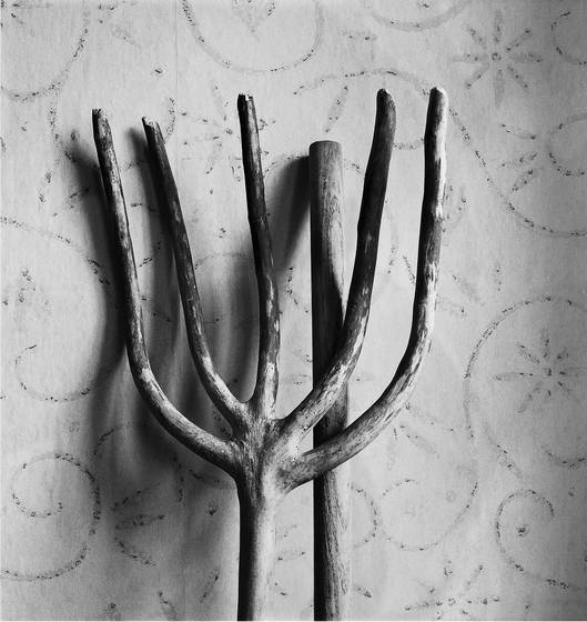Pitchfork
