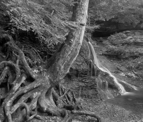 Hell_s_hollow_falls