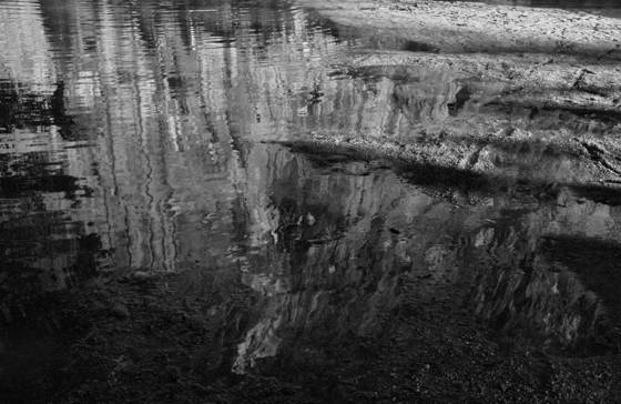 Untitled__17