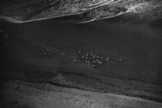 Untitled_7