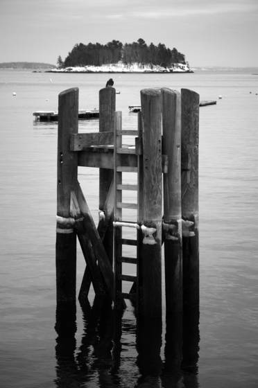Island_on_pilings