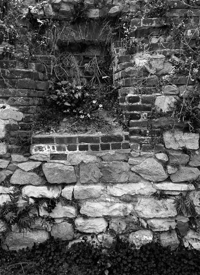 Savannah_wall