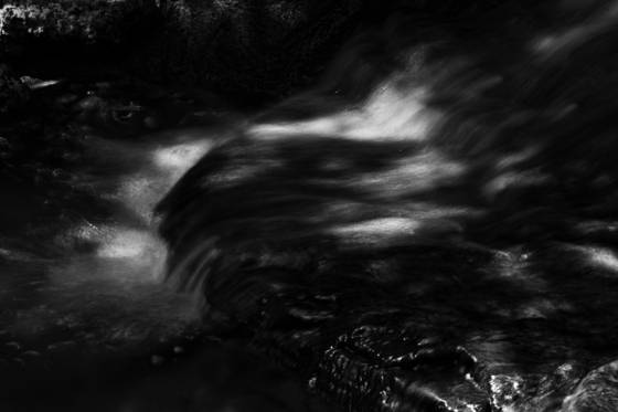 Living_waters