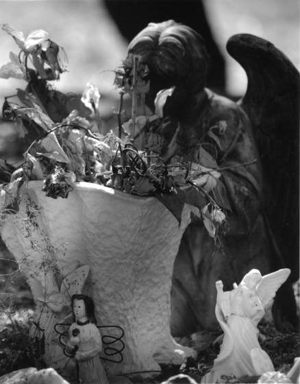 Guardian_angels