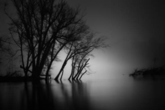 New_dawn