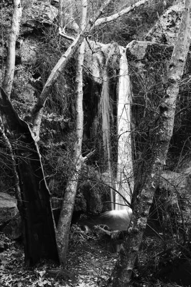 Newton_falls