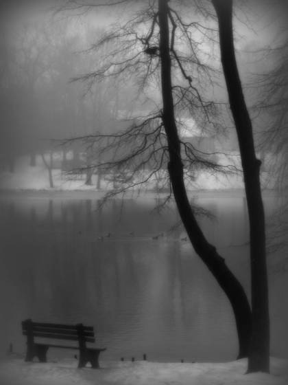 Winter_mist