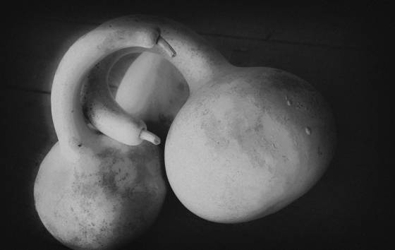 Untitled_19