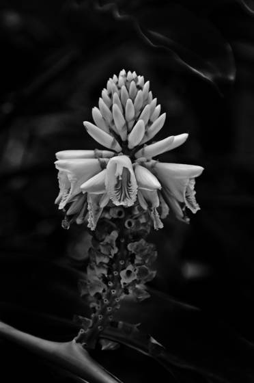 Untitled_1