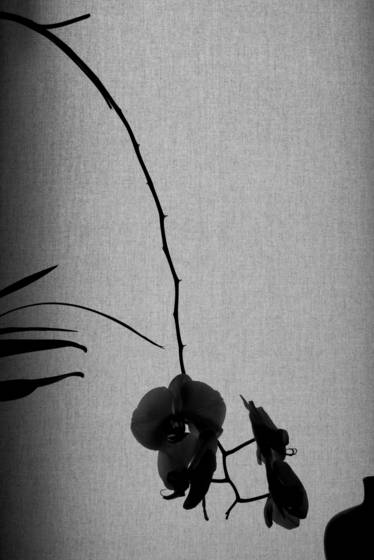 Untitled_6