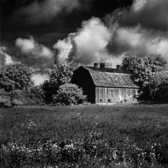 Old_barn