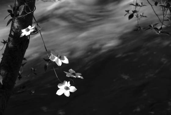 Untitled_13