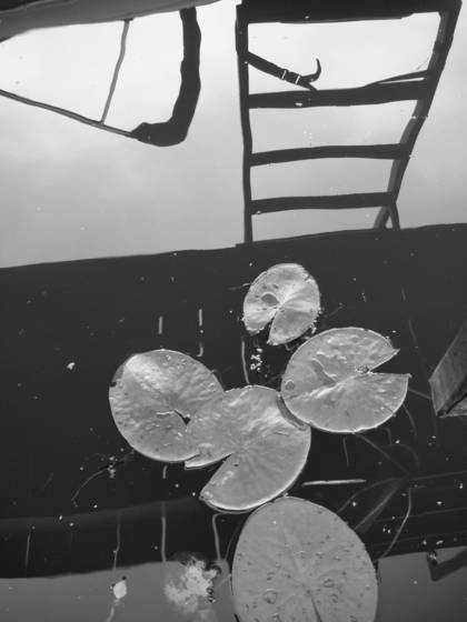 Reflections__1