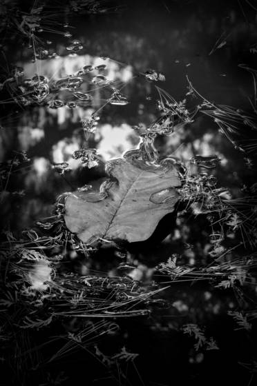Solitude
