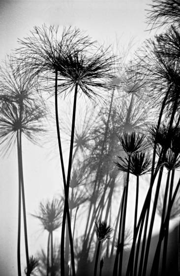Untitled_1