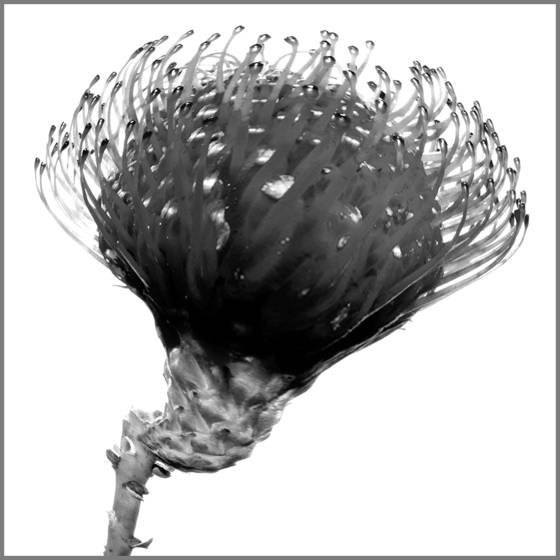 Untitled_6