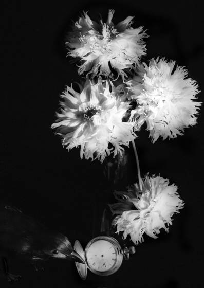Untitled__1