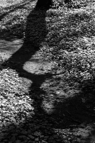 The_path