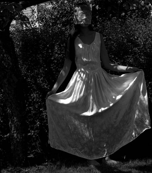 The_veil