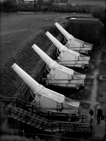 White_canons