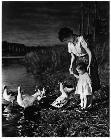 The_ducks_are_coming