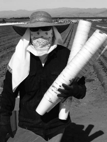Pepper_field_worker