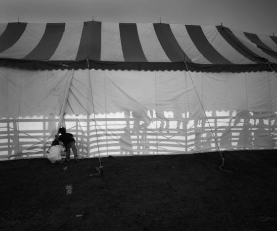 Circus